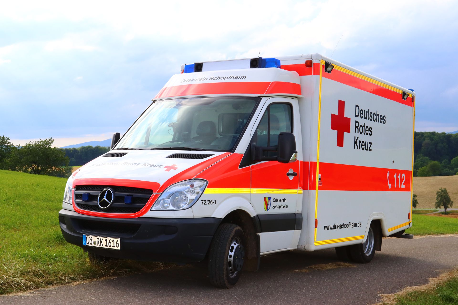 9 Busch Fiat Ducato KTW DRK Hohenlohe RW Öhringen in OVP aus Sammlung 9 Busch Fiat Ducato KTW DRK Hohenlohe RW Öhringen in OVP aus Sammlung